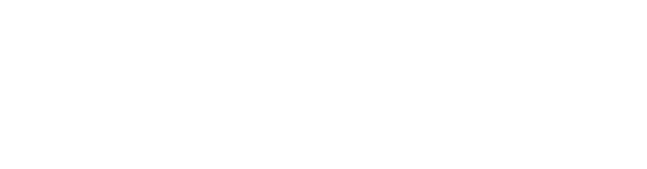 Vision Manager